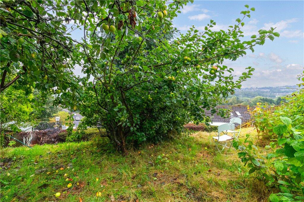 Additional Land