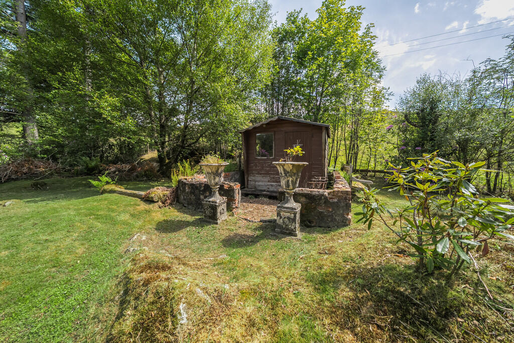 Woodland Garden