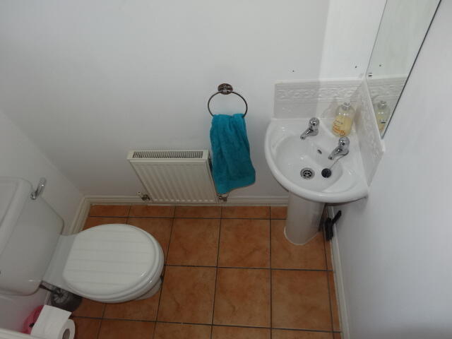 DSC09095.JPG