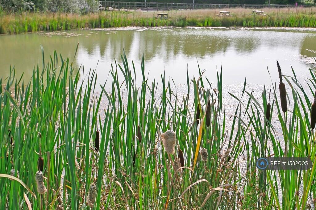 Lake Side Picnic Area