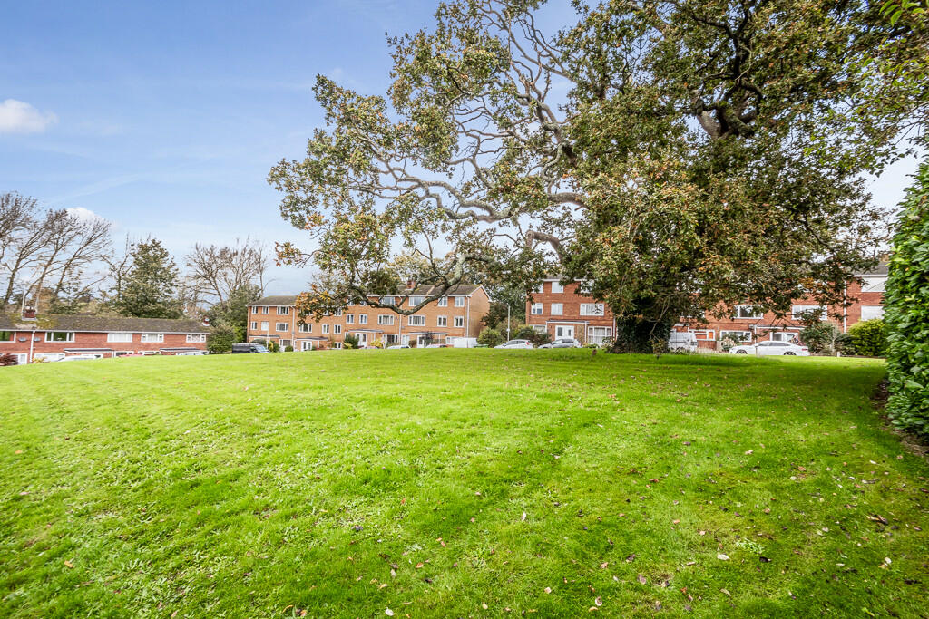 51 Altamira - Web...