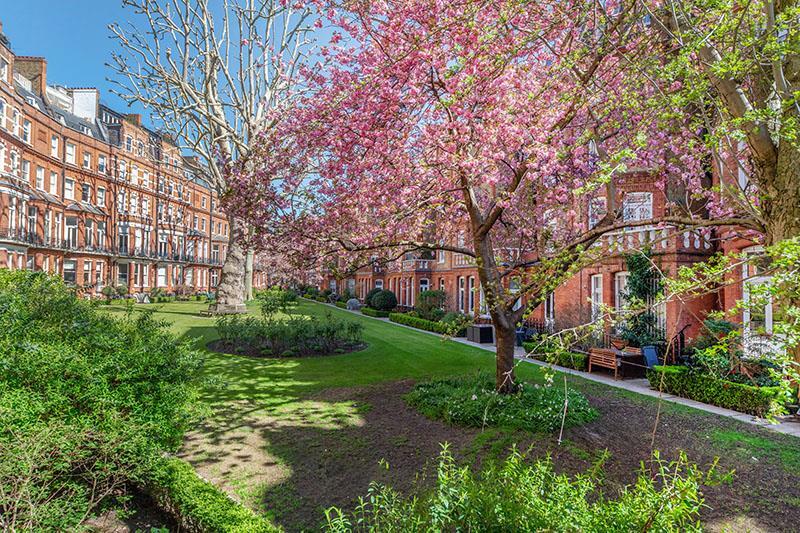 18 egerton gardens 2969 comm gdns_800px.jpg