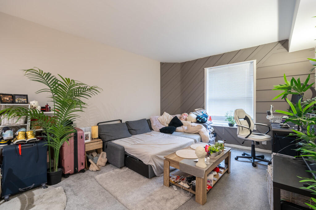 25241-18 15 Kings...