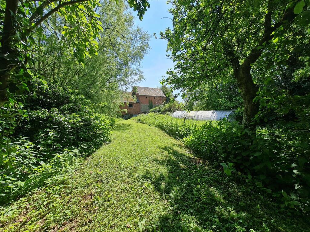 Mill Building rear and polytunnel.jpg