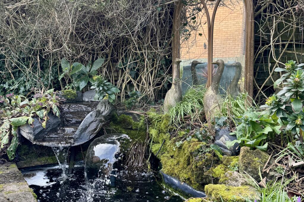 Rear Enclosed Garden