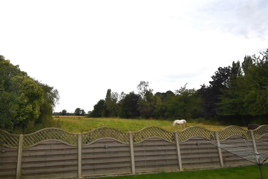 DSC_0052.JPG