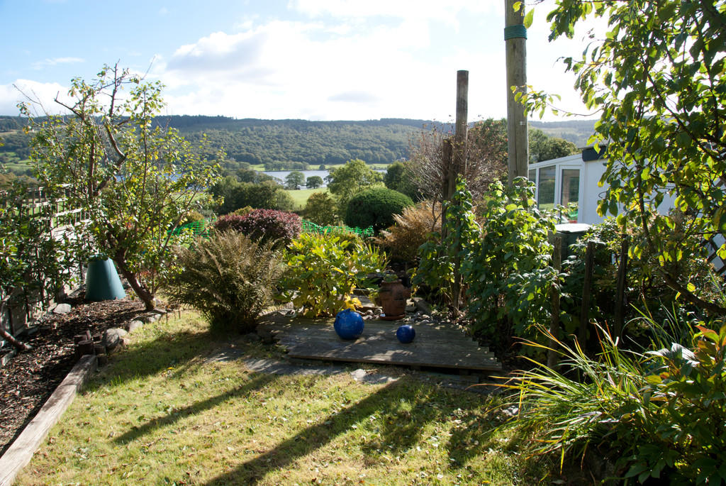 Garden and View