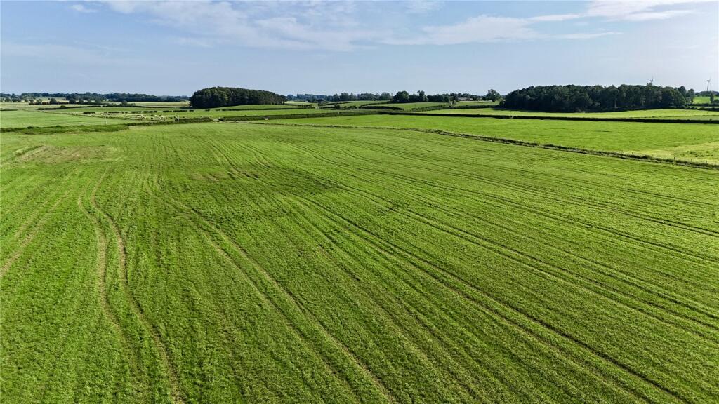 Land
