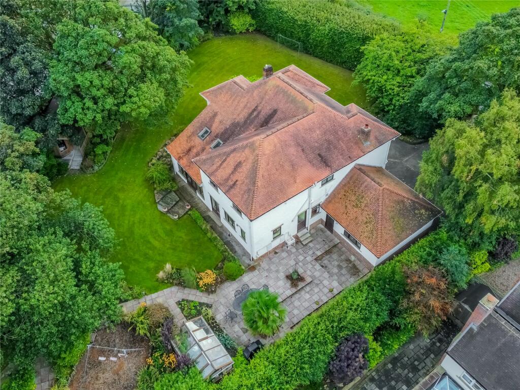 Drone