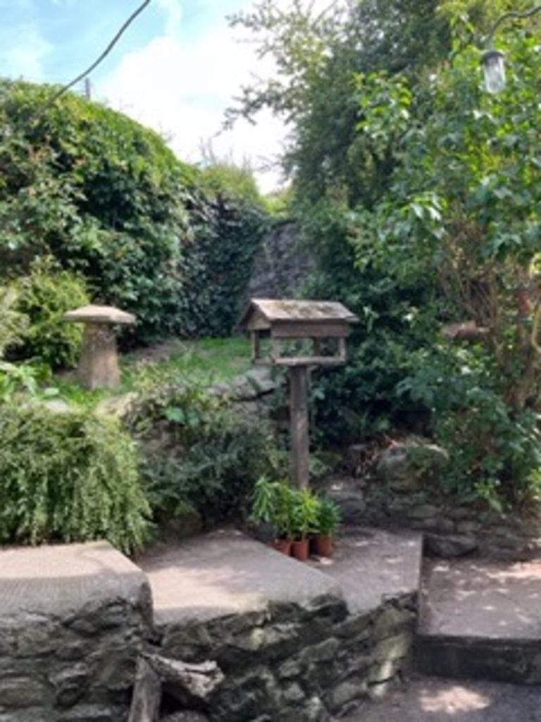 Side Garden
