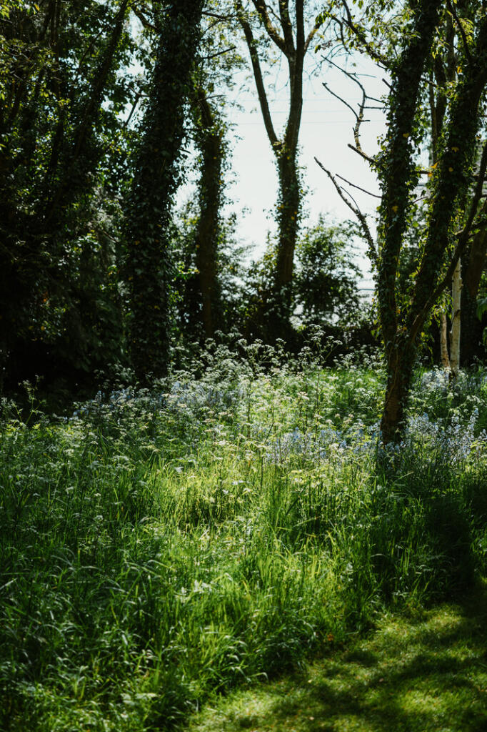 284793 - B0014490.jpg