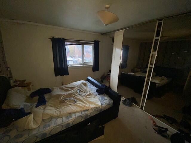 Bed 1 T202411190956.jpg