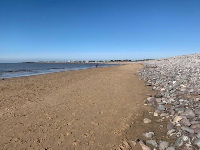 beach.jpg