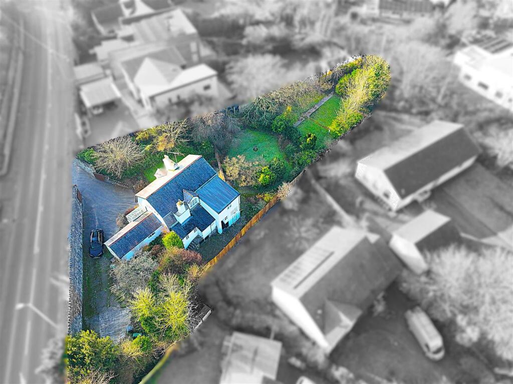 FotoJet (11) Blur.jpg