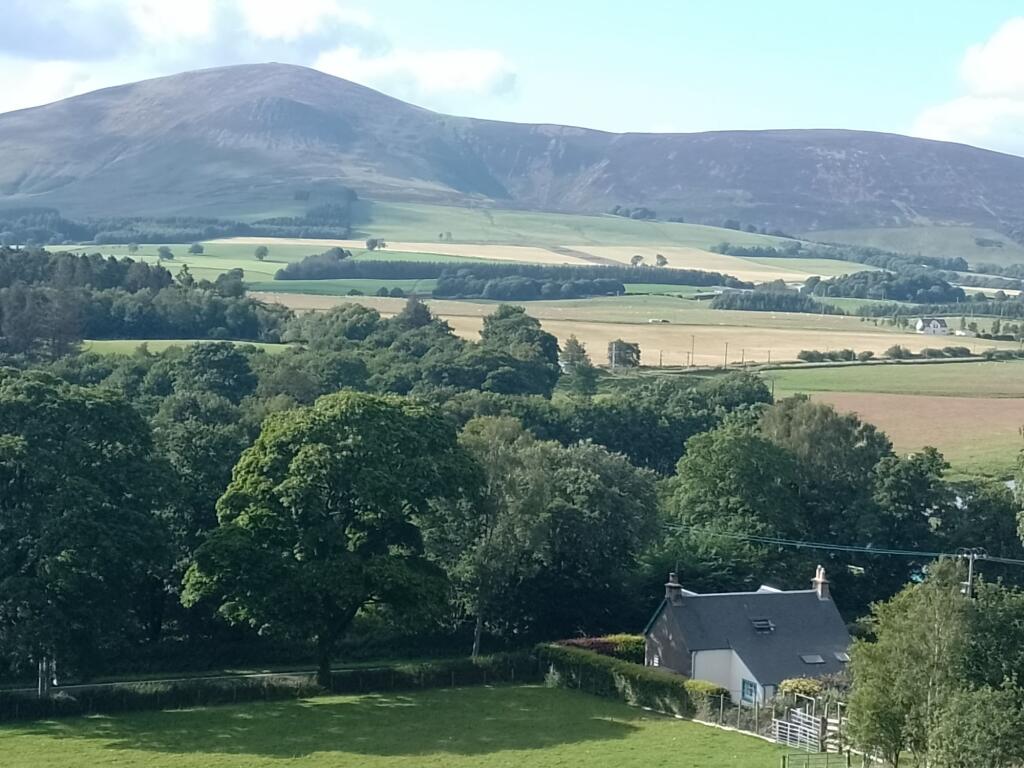 View from hill