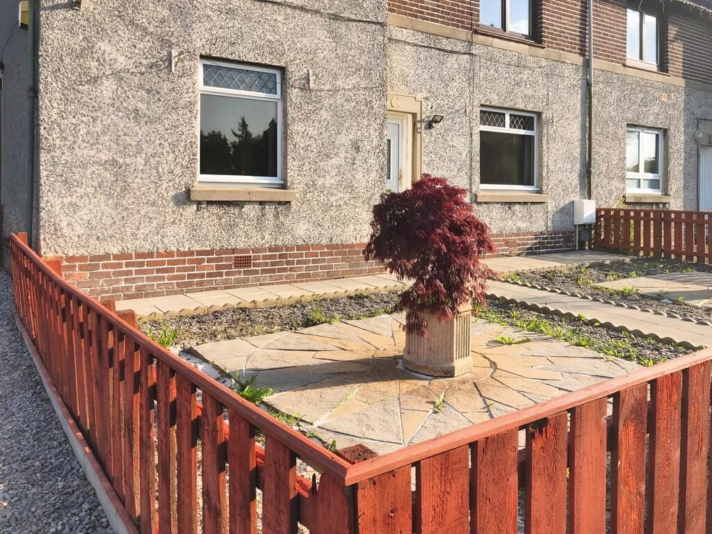 1018cf61-cfca9ea8...