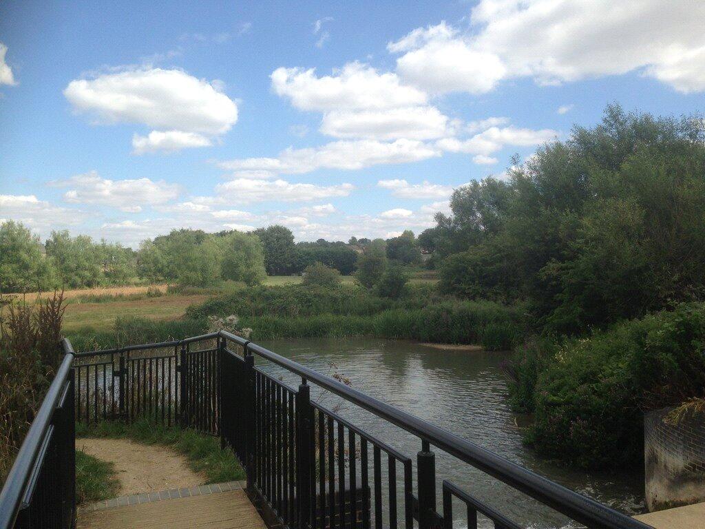 Nearby Water Meadow