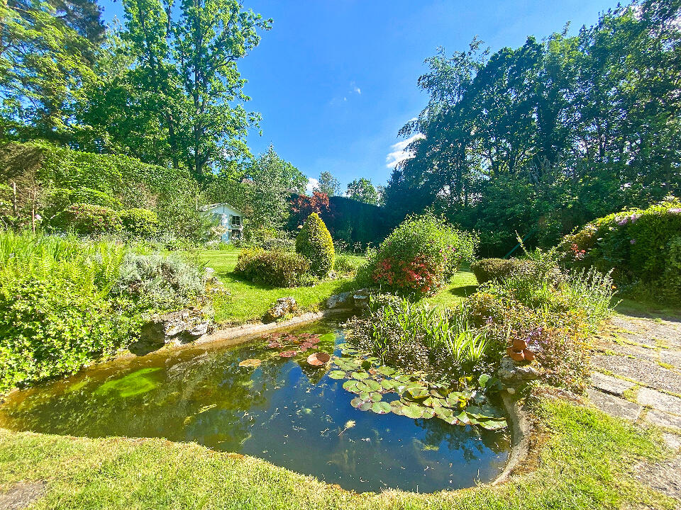 D66FB61A-B9BB-48D2-B