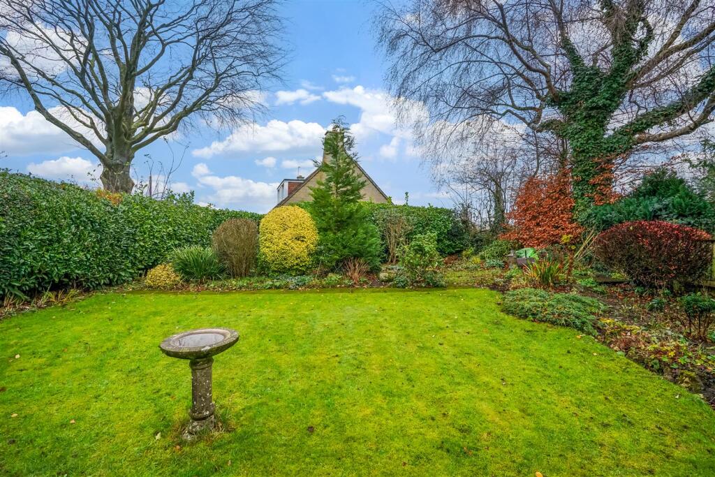 DSC08898.jpg
