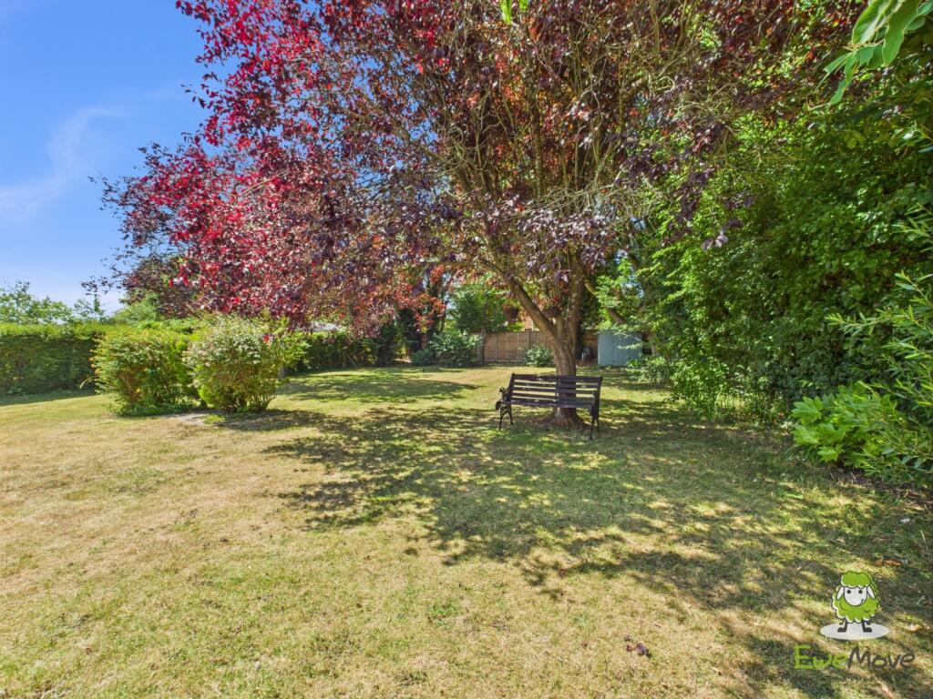 EweMove Basingstoke Estate Agents - 24 Byfleet Ave