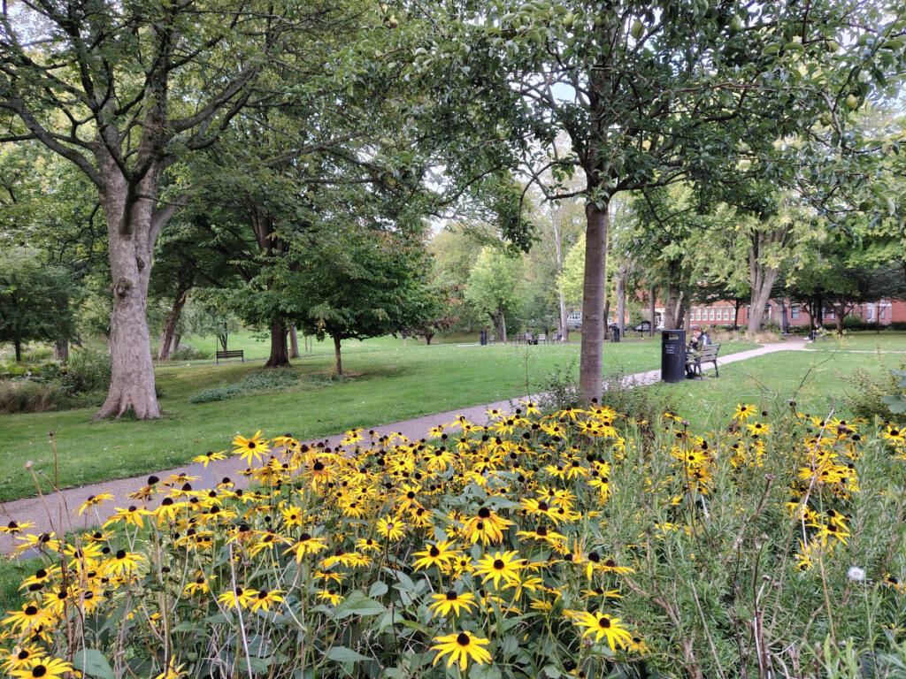 33 Bairstow Street - House Share