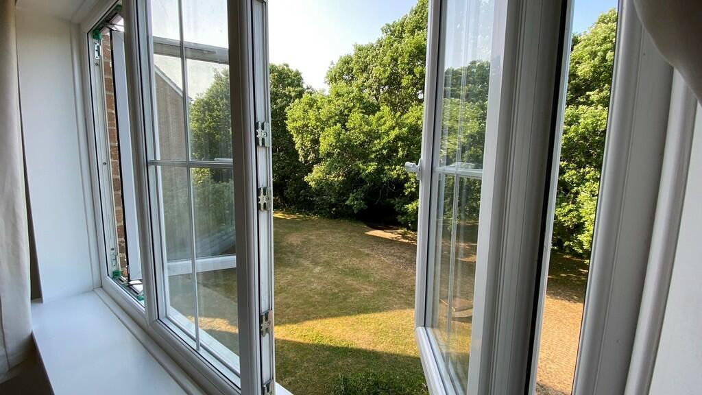 VIEW FROM BEDROOM