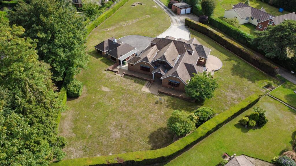 DJI_0029.jpg