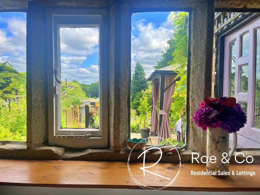 Window view