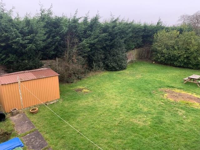 Garden 2.jpg