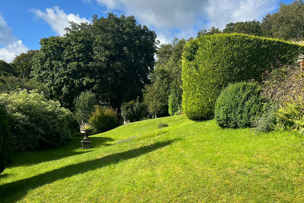 Garden in summer ...
