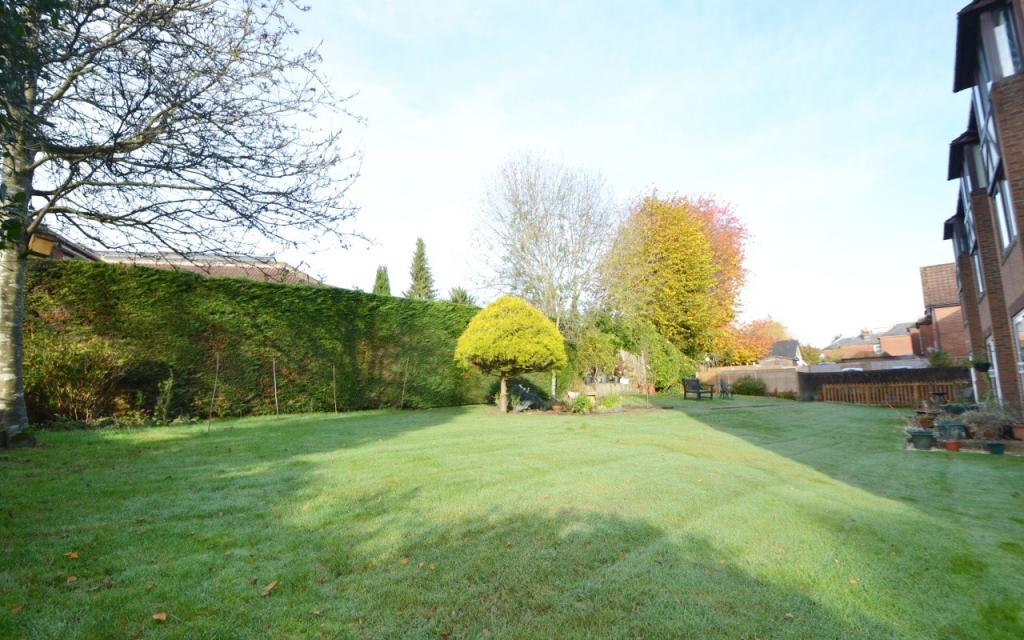 Communal Garden