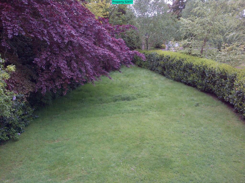 Large south facing garden with easy road access