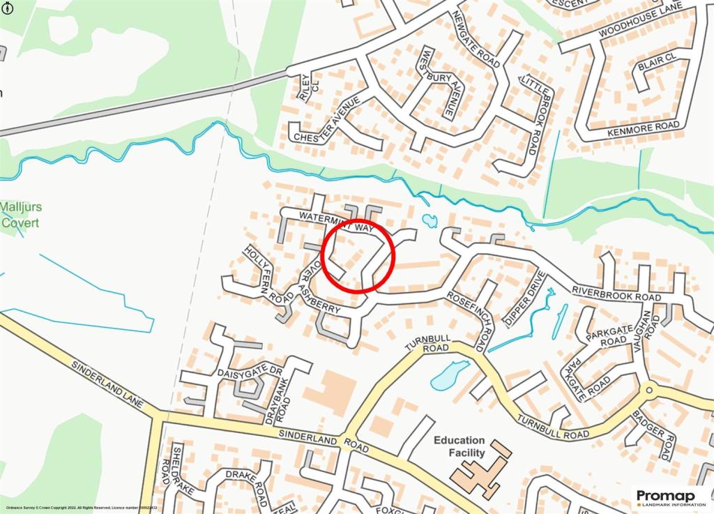 Street Plan.jpg