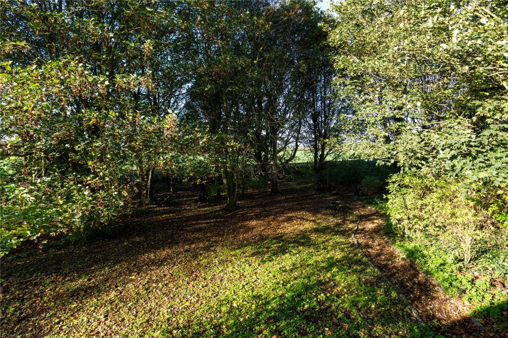 Woodland