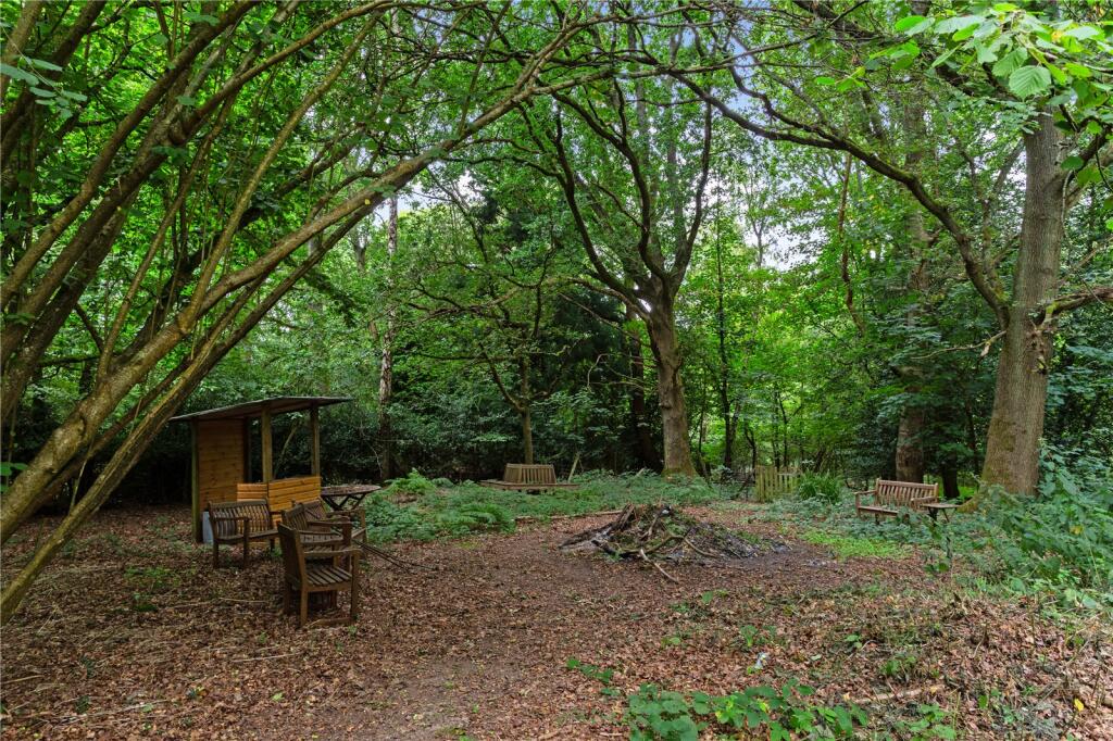 Woodland