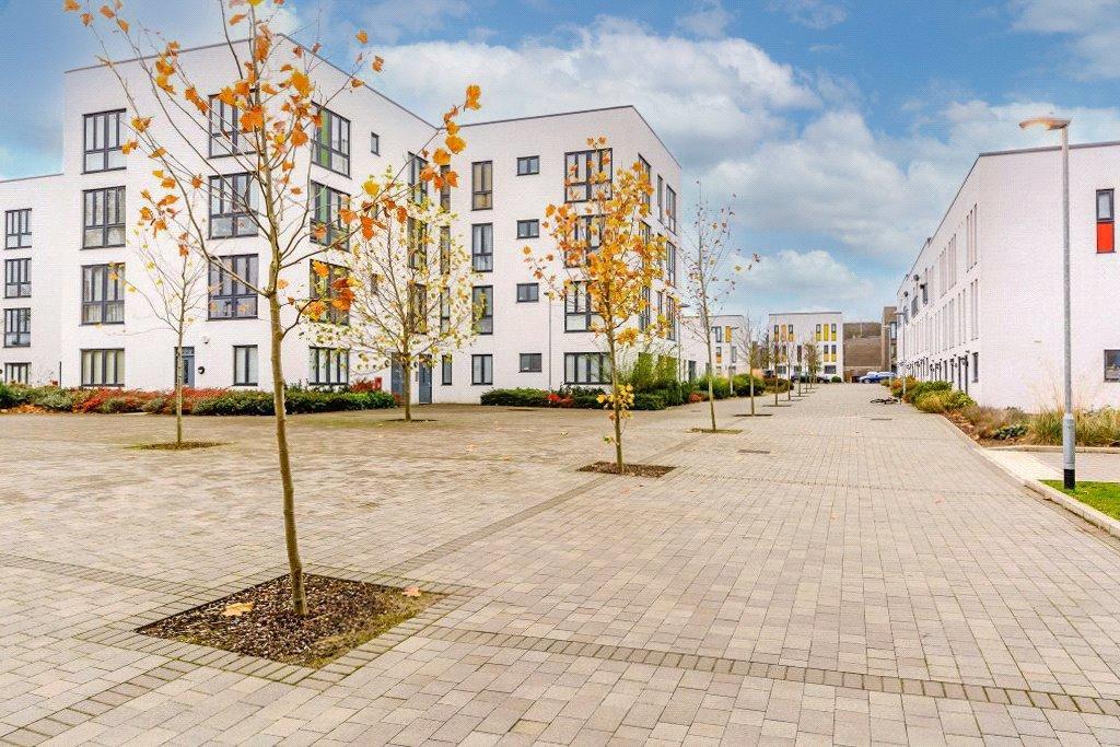Communal Grounds