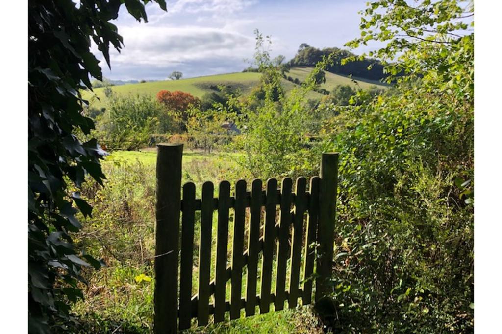 Orchard