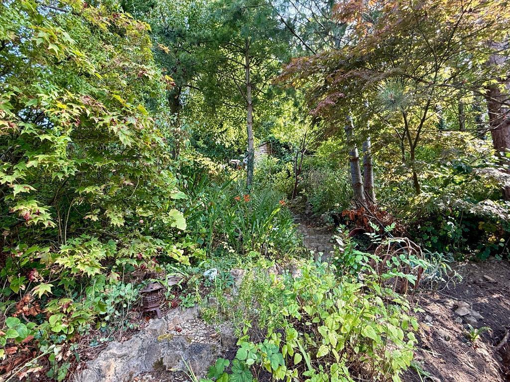 Upper gardens, ideal for dogs to potter