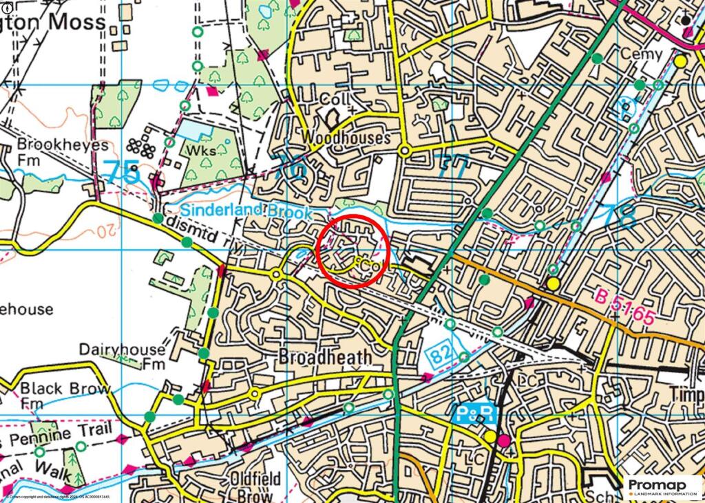 Town Plan