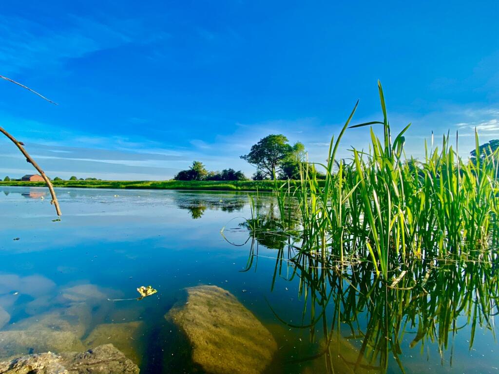 Witham Way Country Park