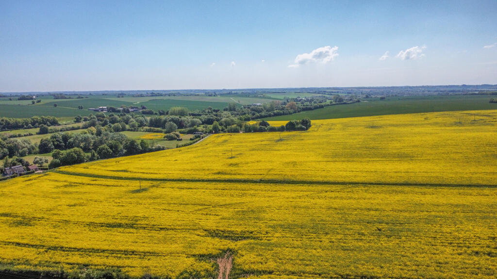 dji_fly_20250512_120202_292_1747047904875_photo_op