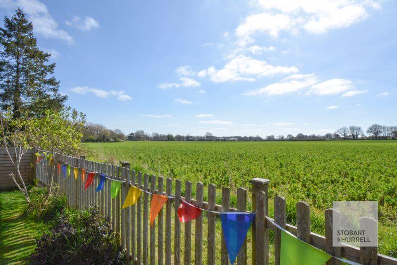 Field Views 