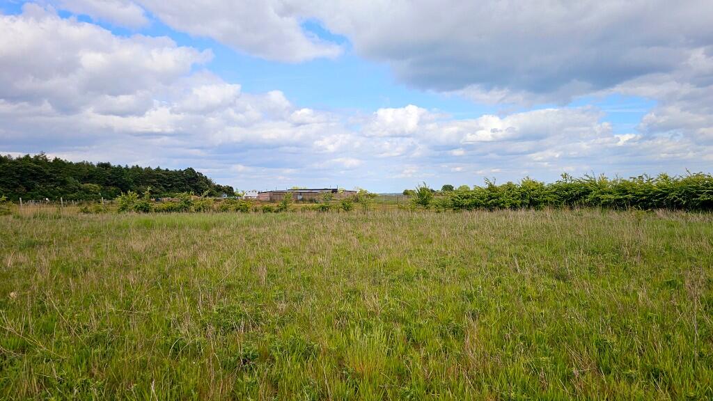 Ideal smallholding.