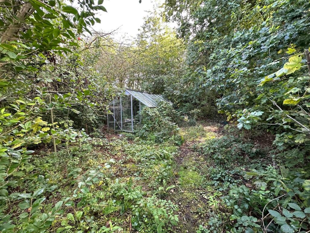 garden 3.jpg
