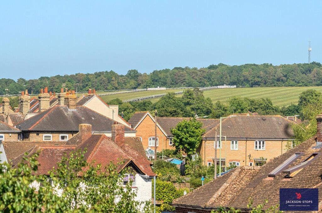 Views Of The Gallops