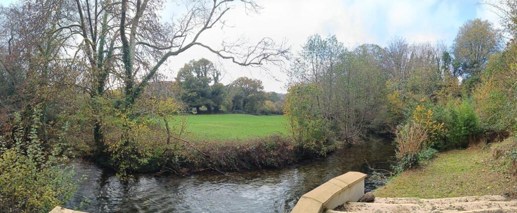 View from Garden.jpg