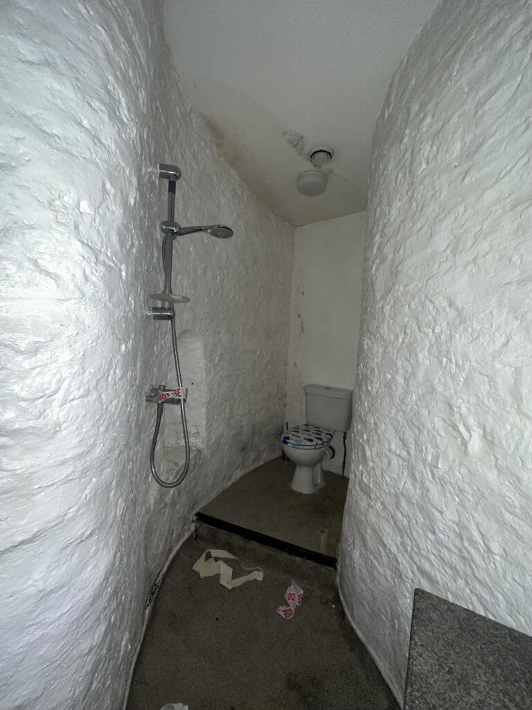 IMG 2482 T202503111608.jpeg