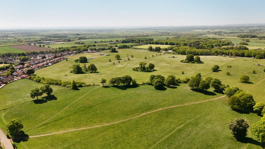 fields