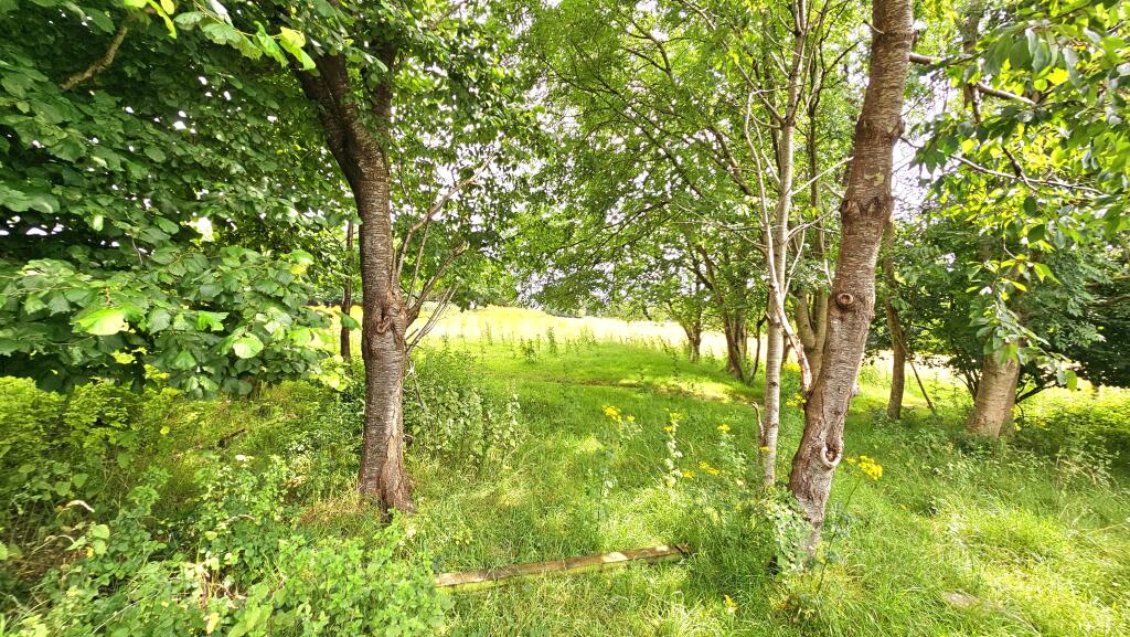 Behind property