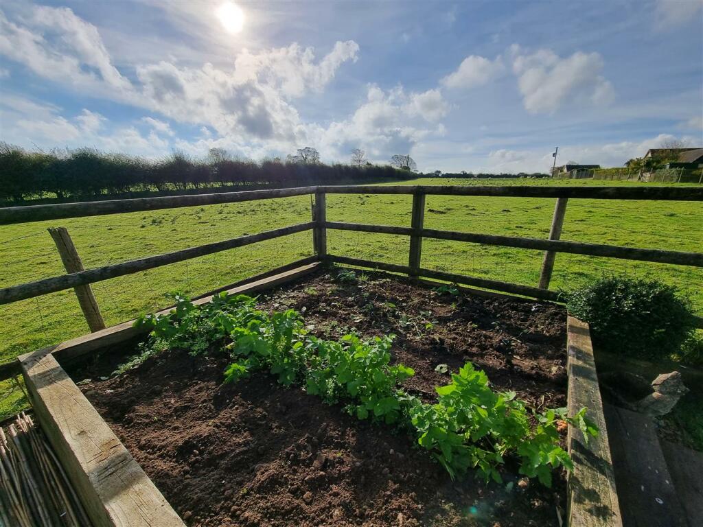 Garden/View